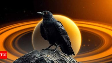 Decode your karma with the power of Shani Jayati 2025: 8.