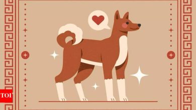 Weekly Horoscope (26 May – June 01): Monkey prophecies for Chinese zodiac
