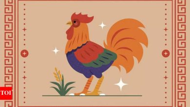 Weekly Horoscope (26 May – June 01): Finance for Cock Chinese sign