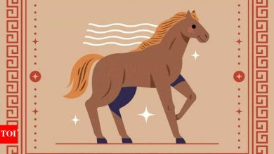 Weekly Horoscope (26 May – June 01): Prophets for horse Chinese zodiac