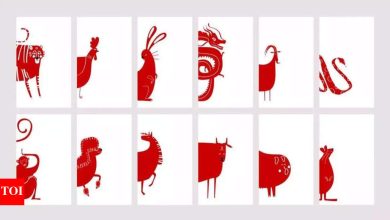 Horoscope today, May 30, 2025: Daily predictions based on your Chinese zodiac