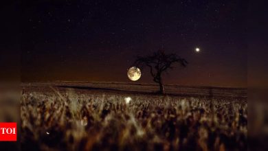Strawberry Moon 2025: Date and things that you need to know about the full moon of June
