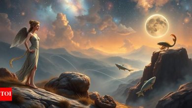 Unlocking the misleading symptoms of zodiac signs: Who is the best false? ,